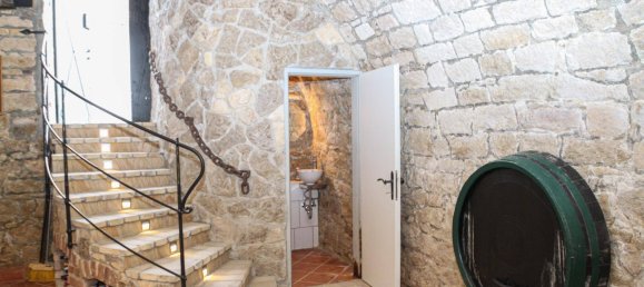  قطعة أرض في Neusiedl am See, Austria رقم 70665 6