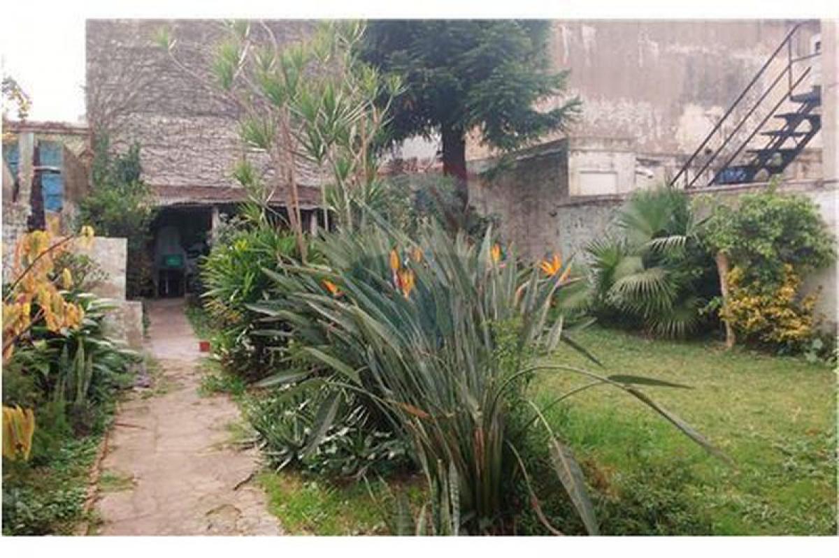 Studio in Merlo, Argentina No. 18929