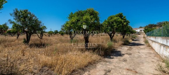 5 Schlafzimmer Haus in Silves, Portugal, Nr. 157122 15