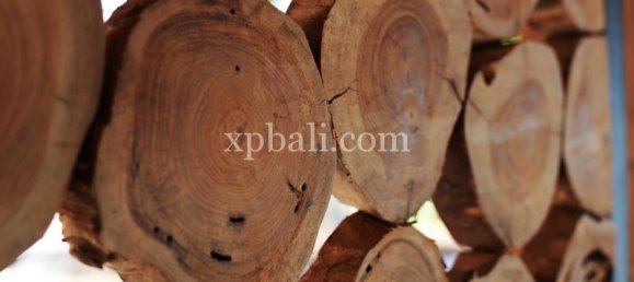 4 chambres Villa à Lovina, Indonesia No. 4185 11