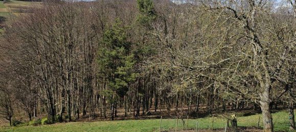 8غرفة منزل في Bad Gleichenberg, Austria رقم 197736 24