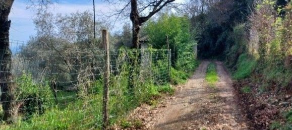 2 rooms House in Ameglia, Italy No. 164954 11