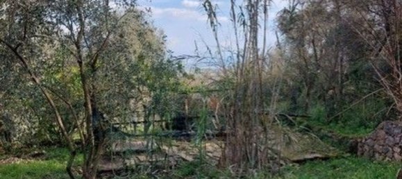 2 rooms House in Ameglia, Italy No. 164954 20