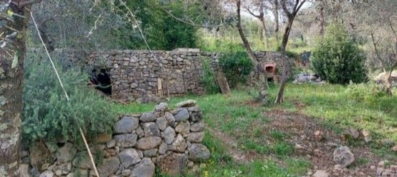 2 rooms House in Ameglia, Italy No. 164954 13