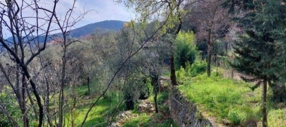 2 rooms House in Ameglia, Italy No. 164954 15