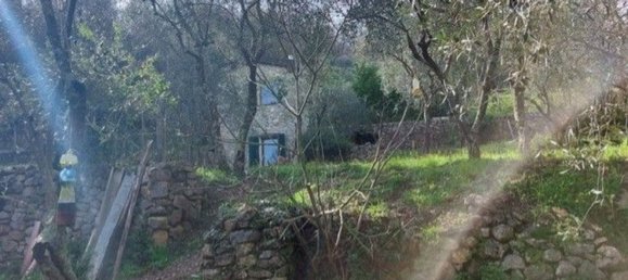 2 rooms House in Ameglia, Italy No. 164954 17