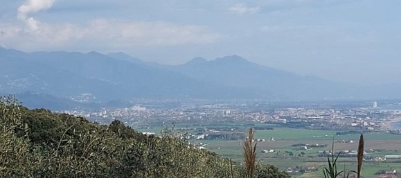 2 rooms House in Ameglia, Italy No. 164954 4