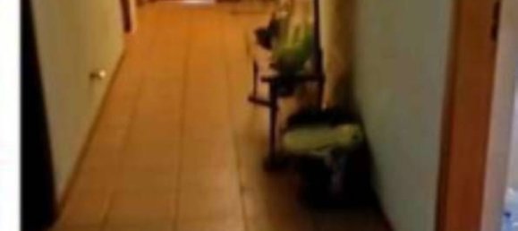 2-Zimmer Wohnung in Aprilia, Italy, Nr. 202787 15