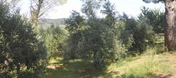 9 bedrooms Villa in Rosignano Marittimo, Italy No. 276797 18