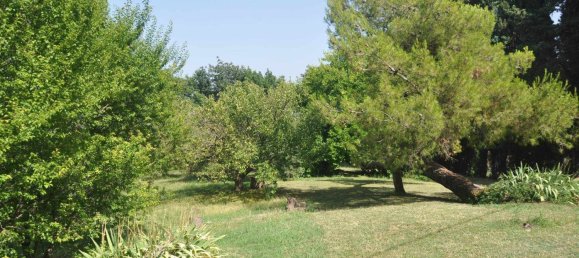 9 bedrooms Villa in Rosignano Marittimo, Italy No. 276797 19