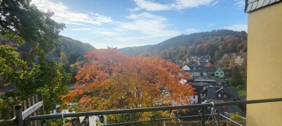 Edificio de 13 habitaciónes en Erzgebirgskreis, Germany No. 87286 11