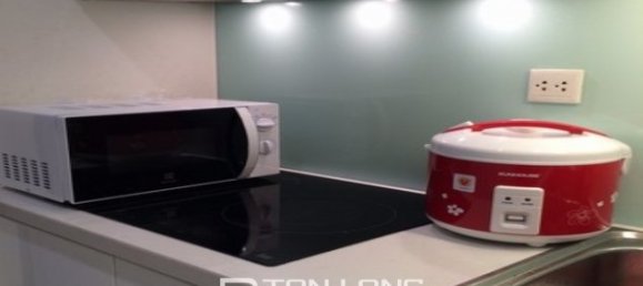 1 Schlafzimmer Wohnung in Dong Da, Vietnam, Nr. 1965 5