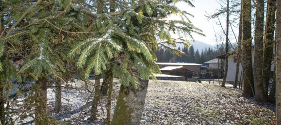 Terrain à St. Ulrich am Pillersee, Austria 580m² No. 99469 8