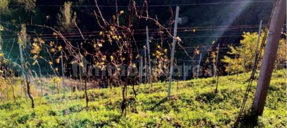 5-Zimmer Haus in Refrontolo, Italy, Nr. 301606 19