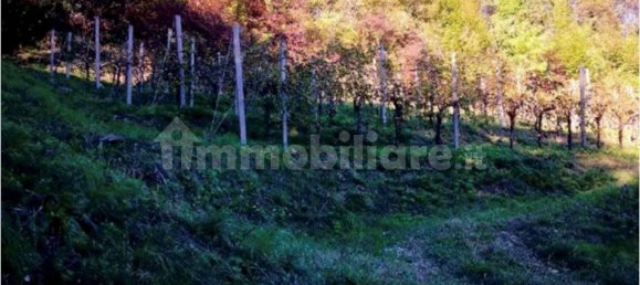 5-Zimmer Haus in Refrontolo, Italy, Nr. 301606 5