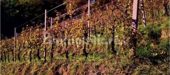 5-Zimmer Haus in Refrontolo, Italy, Nr. 301606 14