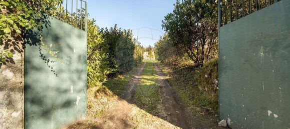 5 chambres Maison à Canas de Santa Maria, Portugal No. 164433 35