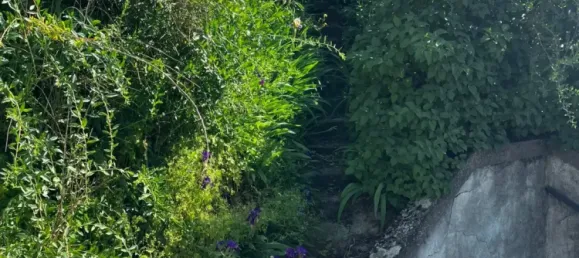 3 rooms House in Angern an der March, Austria No. 136841 16