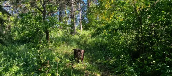 3 rooms House in Angern an der March, Austria No. 136841 18