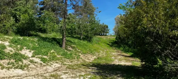 3 rooms House in Angern an der March, Austria No. 136841 4