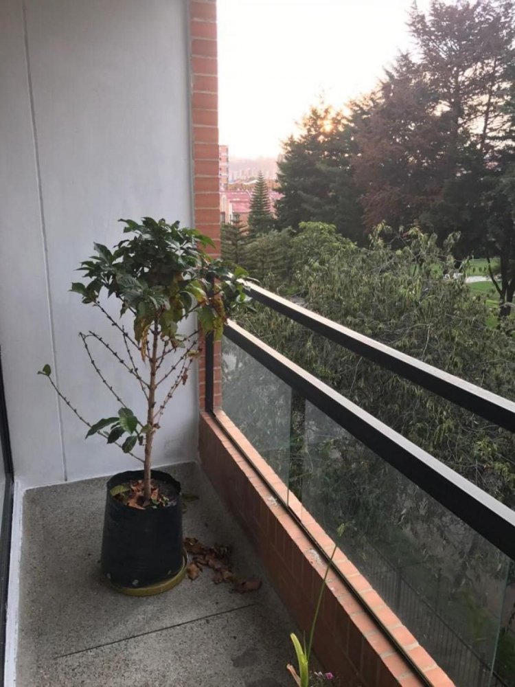 Дом с 3 спальнями в Богота, Колумбия № 13928