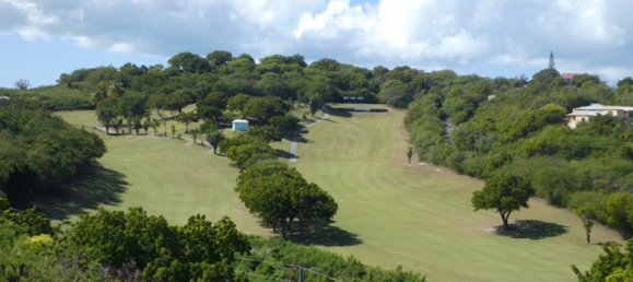 3 chambres Villa à Cedar Valley, Antigua and Barbuda No. 13 15