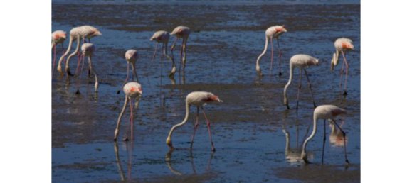 3 bedrooms Apartment in Seixal, Portugal No. 138494 26