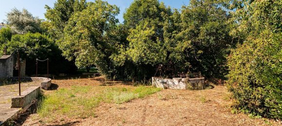 8 غرف نوم قلاع في Lousa, Portugal رقم 118476 44