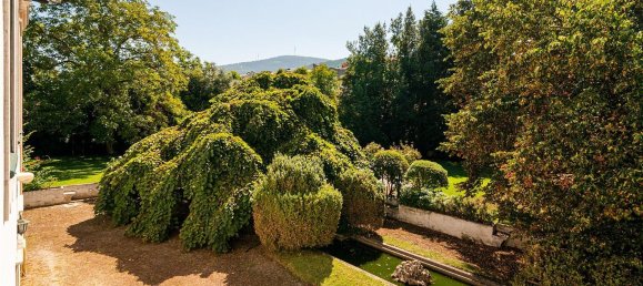 8 غرف نوم قلاع في Lousa, Portugal رقم 118476 35