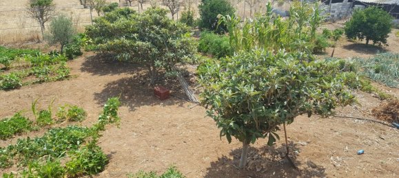 Propiedad de 4 dormitorios en Corinth, Greece No. 5714 3