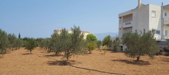 Propiedad de 4 dormitorios en Corinth, Greece No. 5714 11