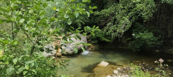 Studio in Alpes-Maritimes, France, Nr. 348480 2