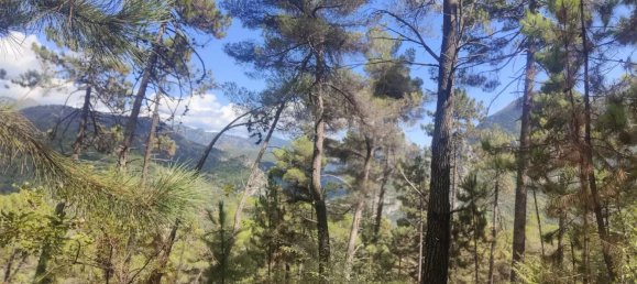 Studio in Alpes-Maritimes, France, Nr. 348480 11