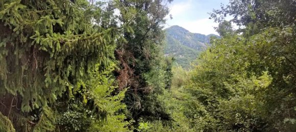 Studio in Alpes-Maritimes, France, Nr. 348480 10