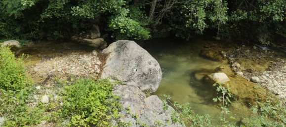 Studio in Alpes-Maritimes, France, Nr. 348480 12