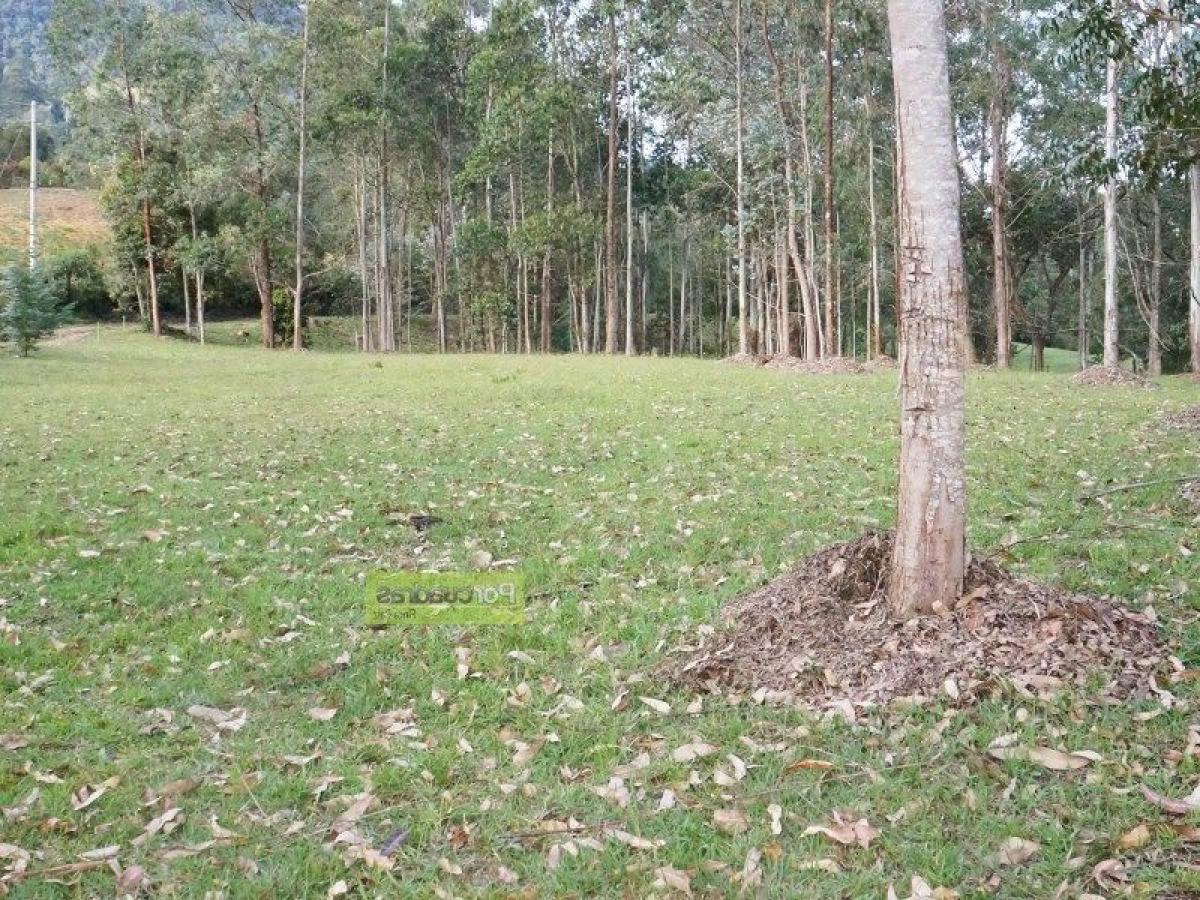  Land in Antioquia, Colombia No. 485