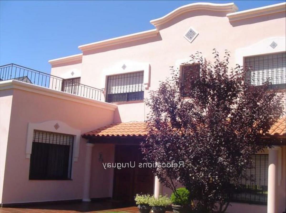 4 غرف نوم منزل في Montevideo, Uruguay رقم 8099