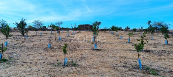 2 Schlafzimmer Haus in Alcoutim, Portugal, Nr. 56235 14