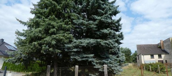  قطعة أرض في Teltow-Flaming, Germany رقم 35154 3