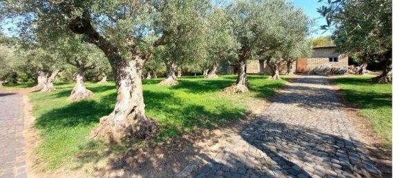 5-salle Maison à Frascati, Italy No. 303386 12