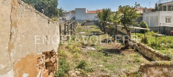 751m² Building in Faro, Portugal No. 149364 22