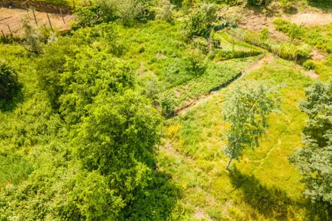 Земельный участок в Марку ди Канавезиш, Португалия № 261637