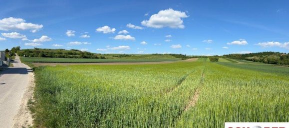 7 rooms House in Stetten, Austria No. 260610 18