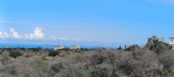  فندق في Chania, Greece 9670متر مربع رقم 46354 6