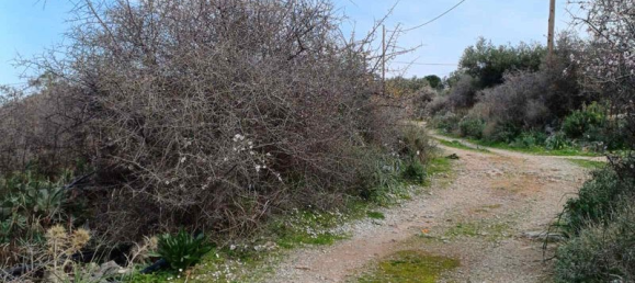  فندق في Chania, Greece 9670متر مربع رقم 46354 4