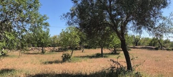 Villa de 4 dormitorios en Silves, Portugal No. 118331 36