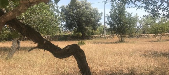 Villa de 4 dormitorios en Silves, Portugal No. 118331 6