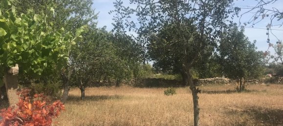 Villa de 4 dormitorios en Silves, Portugal No. 118331 8