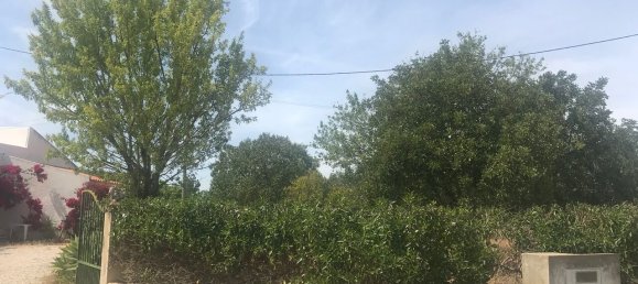 Villa de 4 dormitorios en Silves, Portugal No. 118331 33