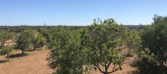 Villa de 4 dormitorios en Silves, Portugal No. 118331 28